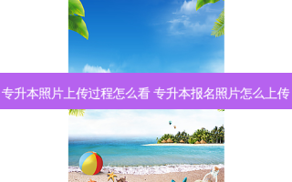 专升本照片上传过程怎么看 专升本报名照片怎么上传