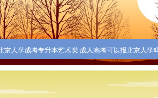 北京大学成考专升本艺术类 成人高考可以报北京大学吗