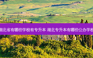 湖北省有哪些学校有专升本 湖北专升本有哪些公办学校