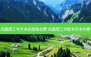 武昌理工专升本统招报名费 武昌理工学院专升本学费