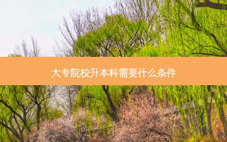 大专院校升本科需要什么条件