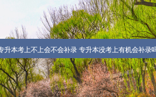 专升本考上不上会不会补录 专升本没考上有机会补录吗