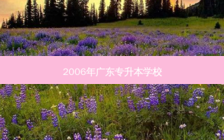 2006年广东专升本学校