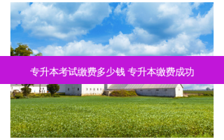 专升本考试缴费多少钱 专升本缴费成功