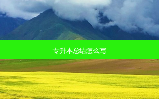 专升本总结怎么写