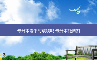 专升本看平时成绩吗 专升本能调剂
