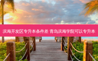 滨海开发区专升本条件差 青岛滨海学院可以专升本