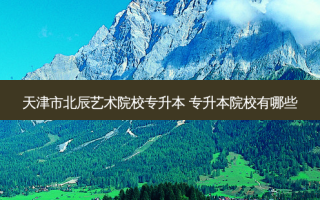 天津市北辰艺术院校专升本 专升本院校有哪些