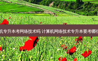 计算机专升本考 *** 技术吗 计算机 *** 技术专升本要考哪些科目