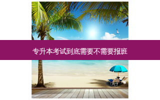 专升本考试到底需要不需要报班