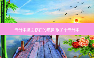 专升本里面存在的猫腻 报了个专升本