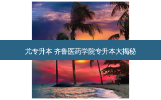 尤专升本 齐鲁医药学院专升本大揭秘