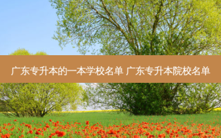 广东专升本的一本学校名单 广东专升本院校名单