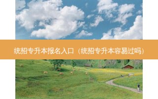 统招专升本报名入口（统招专升本容易过吗）