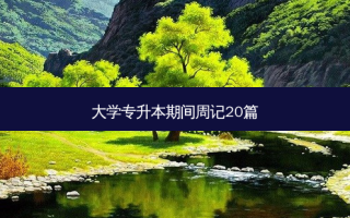 大学专升本期间周记20篇