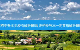 统招专升本学校有辅导班吗 统招专升本一定要报辅导班吗