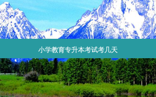 小学教育专升本考试考几天