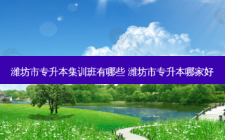 潍坊市专升本集训班有哪些 潍坊市专升本哪家好