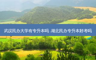 武汉民办大学有专升本吗 .湖北民办专升本好考吗