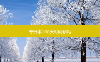 专升本100天时间够吗
