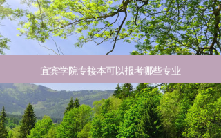宜宾学院专接本可以报考哪些专业