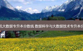 计算机大数据专升本分数线 数据科学与大数据技术专升本分数线