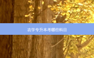 农学专升本考哪些科目
