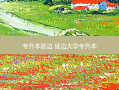 专升本延边 延边大学专升本