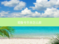 耶鲁专升本怎么样