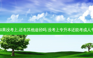 专升本如果没考上,还有其他途径吗 没考上专升本还能考成人专升本吗