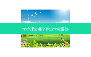 学护理去哪个职业学校 *** 好