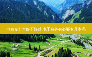 电商专升本好不好过 电子商务有必要专升本吗