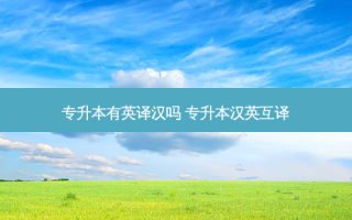专升本有英译汉吗 专升本汉英互译