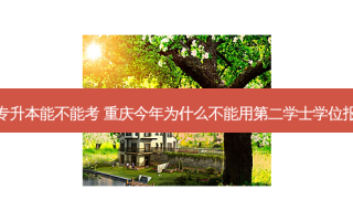 重庆选调专升本能不能考 重庆今年为什么不能用第二学士学位报考选调生
