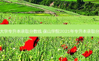 保山大学专升本录取分数线 保山学院2021年专升本录取分数线