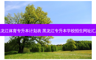 黑龙江体育专升本计划表 黑龙江专升本学校招生网址汇总