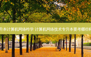 专升本计算机 *** 咋学 计算机 *** 技术专升本要考哪些科目