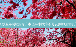 湖南长沙五年制统招专升本 五年制大专不可以参加统招专升本吗