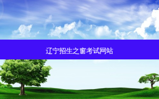 辽宁招生之窗考试网站