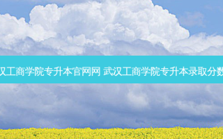 武汉工商学院专升本官网网 武汉工商学院专升本录取分数线