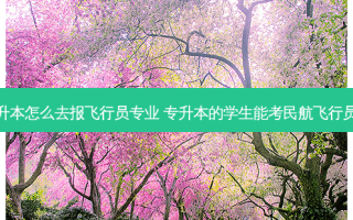 专升本怎么去报飞行员专业 专升本的学生能考民航飞行员吗