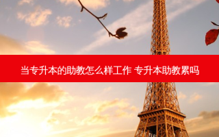 当专升本的助教怎么样工作 专升本助教累吗