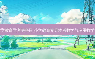 专升本数学教育学考啥科目 小学教育专升本考数学与应用数学需要考啥