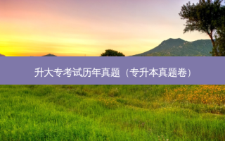 升大专考试历年真题（专升本真题卷）