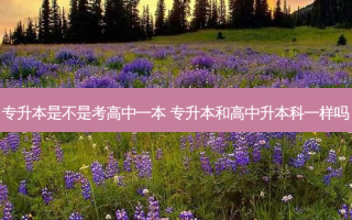 专升本是不是考高中一本 专升本和高中升本科一样吗