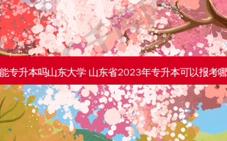 复读生能专升本吗山东大学 山东省2023年专升本可以报考哪些大学