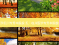 临床医学四川专升本院校 四川临床医学专升本院校有哪些