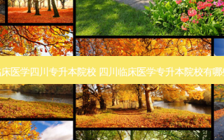 临床医学四川专升本院校 四川临床医学专升本院校有哪些