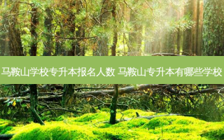 马鞍山学校专升本报名人数 马鞍山专升本有哪些学校