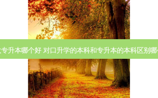 对口升本和大专升本哪个好 对口升学的本科和专升本的本科区别哪个含金量高点
